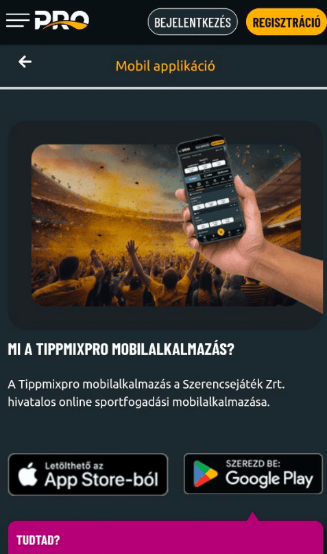 Mobilalkalmazás és mobil verzió